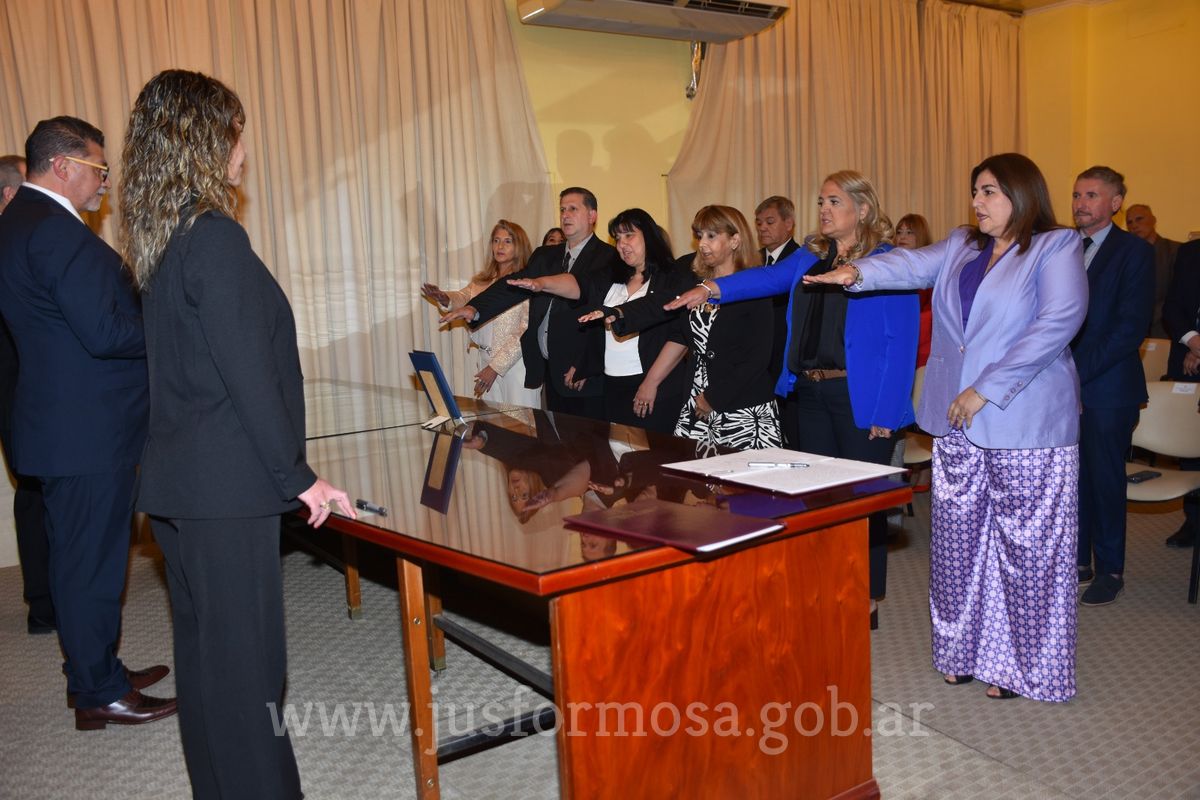 Imagen 5